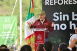 Michoacán impulsa reforestación histórica para recuperar el lago de Pátzcuaro: Bedolla