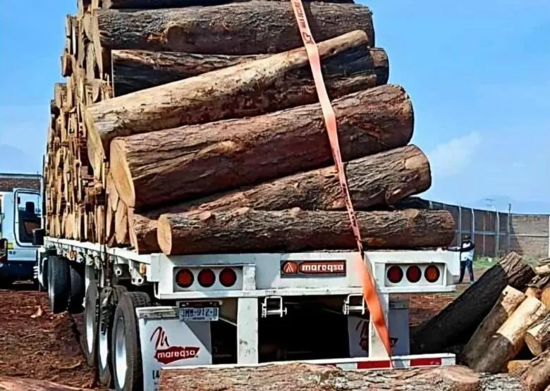 Muere hombre al descargar troncos en Maravatío