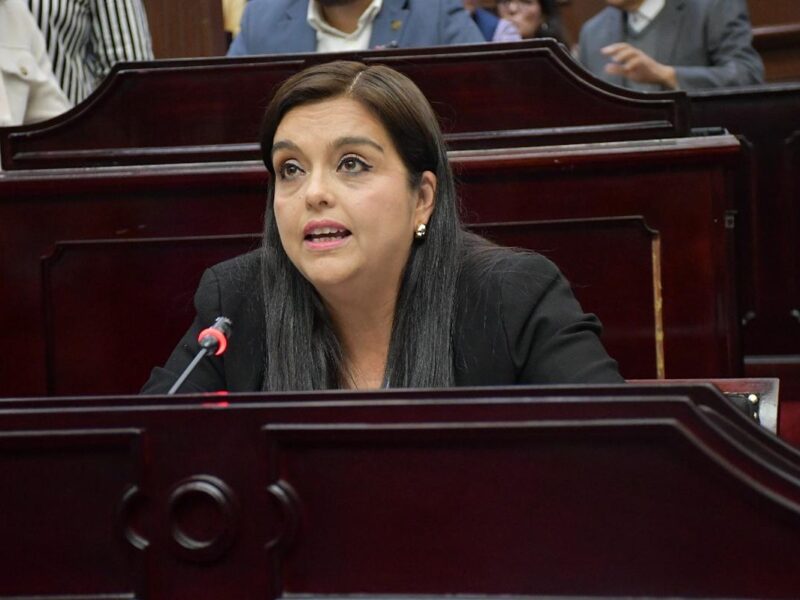 Paridad de género No herramienta política: Terre Herrera