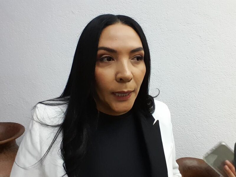Reforma electoral anunciada por Claudia Sheinbaum, “revanchismo contra el INE”