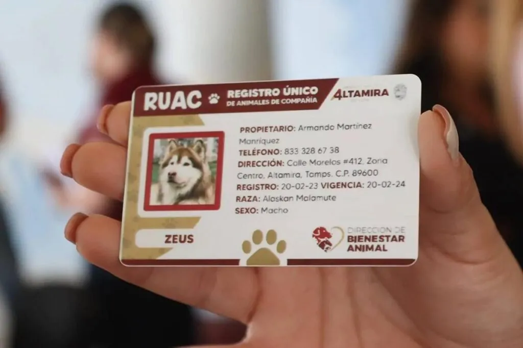 registro mascotas CDMX Estas son las multas que aplican si no lo has hecho