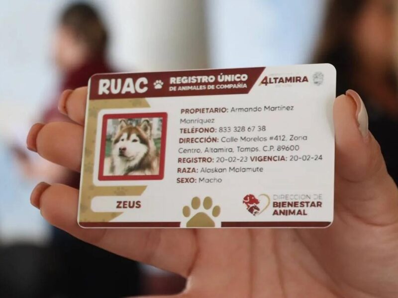 registro mascotas CDMX Estas son las multas que aplican si no lo has hecho