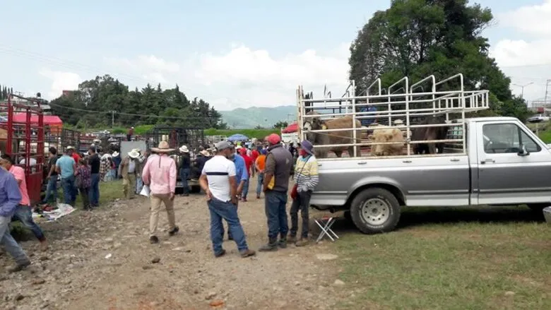 Reportan que comando armado supuestamente plagió a diez personas en Tianguis Ganadero de Zitácuaro