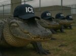 Protestas contra la cárcel migratoria “Alligator Alcatraz” en Florida