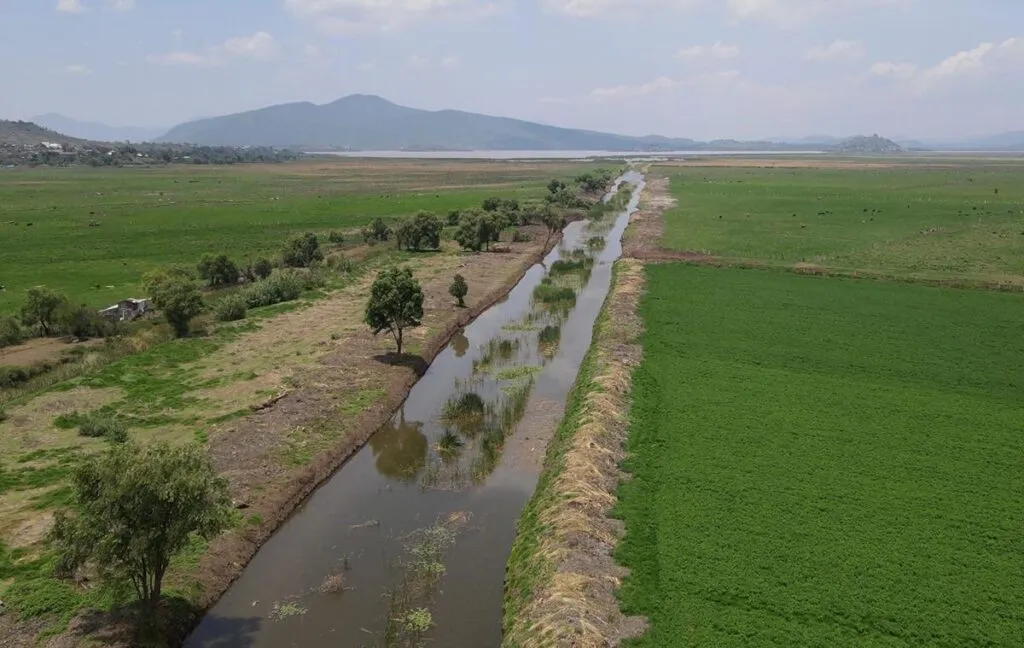 Rescate del canal de Erongarícuaro revitaliza ecosistema y economía local: Compesca