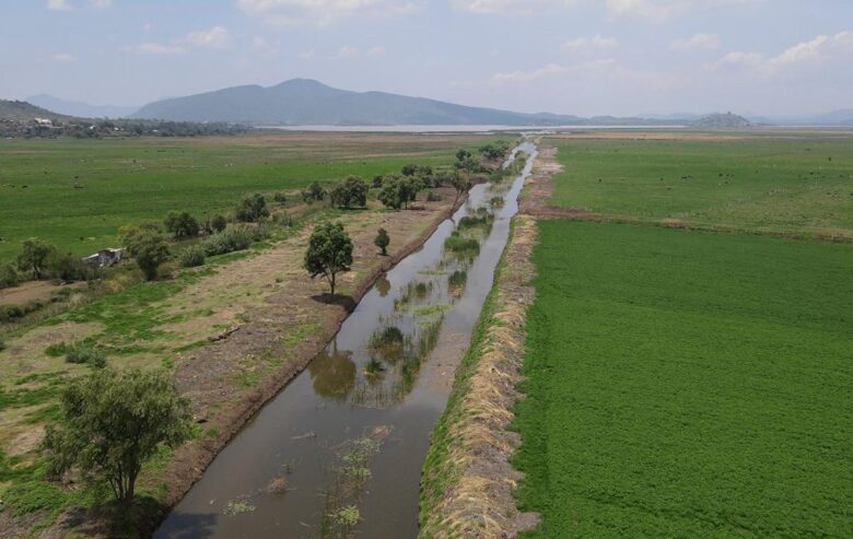 Rescate del canal de Erongarícuaro revitaliza ecosistema y economía local: Compesca