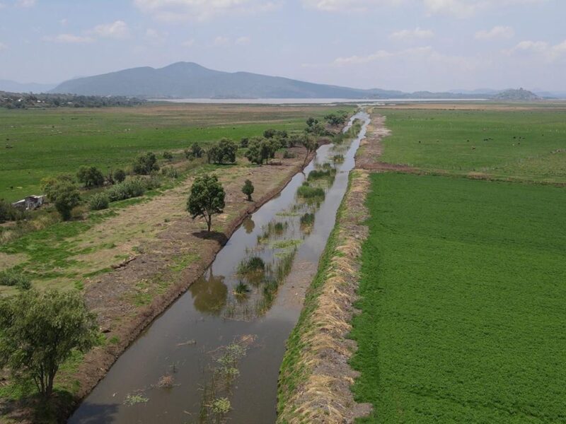 Rescate del canal de Erongarícuaro revitaliza ecosistema y economía local: Compesca