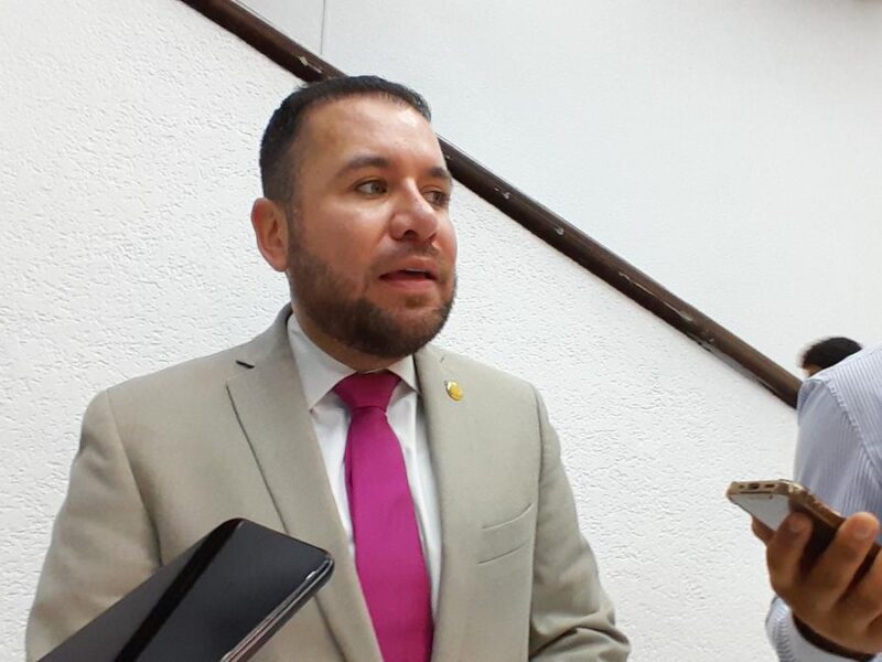 Reyes Galindo: prevalece razón de ser de plurinominales
