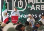 Por aire se lanzarán semillas para reforestar 50 mil has de bosques: Bedolla