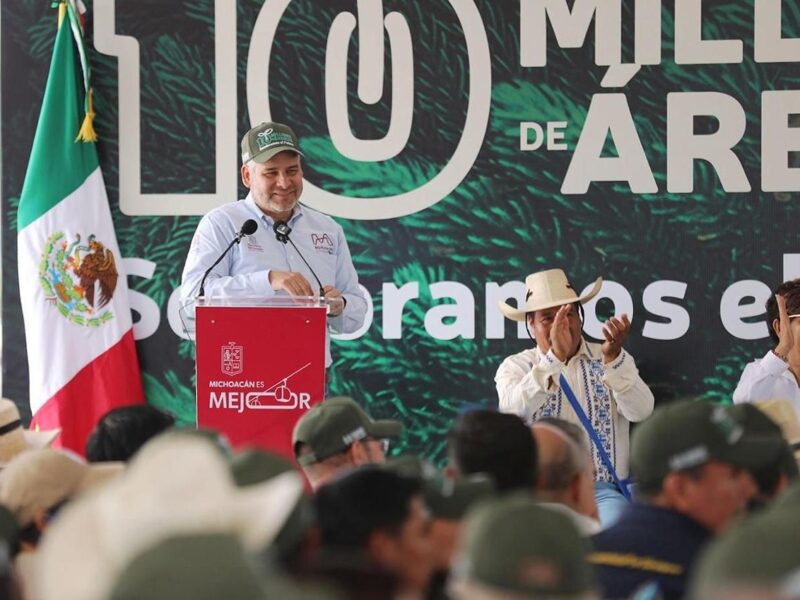 Se realizarán acciones aéreas para reforestar Michoacán