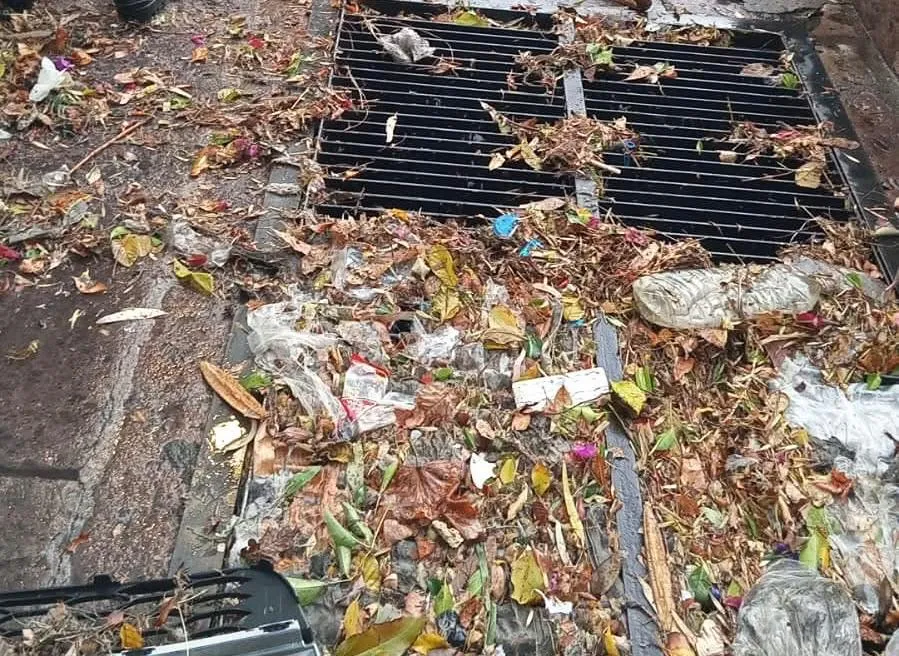 SSM, en alerta con brigadas ante emergencia por lluvias-1