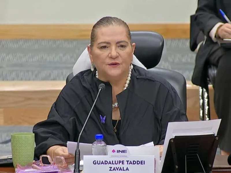 Taddei señala que asistencia de militares al Consejo del INE fue por cortesía