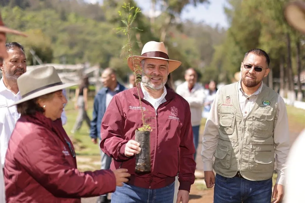 Viveros del estado con producción histórica de plantas para reforestar: Bedolla-4