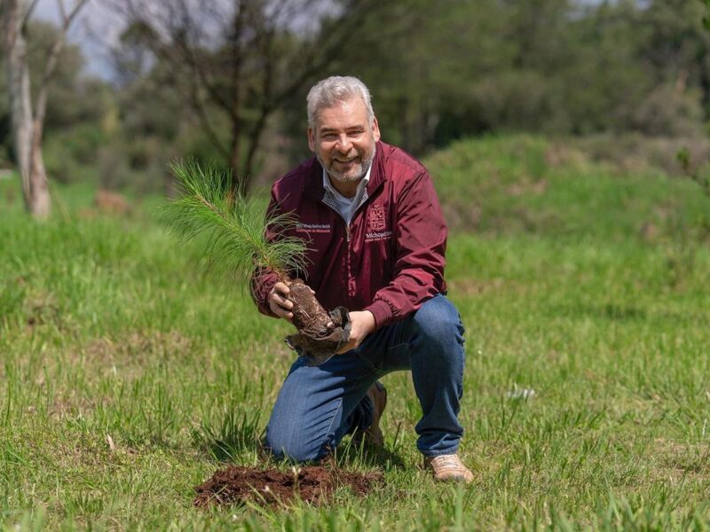Viveros del estado con producción histórica de plantas para reforestar: Bedolla