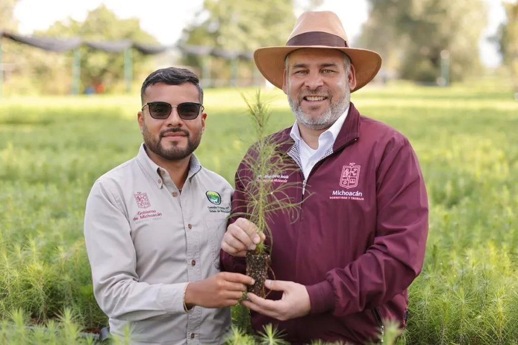 4 de cada 10 árboles plantados se localiza en cuencas de ríos y lagos