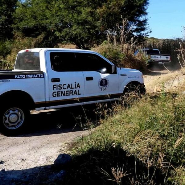 Hallan a adulto mayor presuntamente asesinado en una brecha de Los Reyes, Michoacán