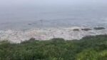Advierte Semar posibles variaciones del nivel del mar en las costas del Pacífico; derivaría en tsunami