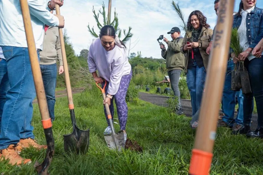 Arranca Mónica Valdez ambicioso programa de reforestación en Zacapu-1