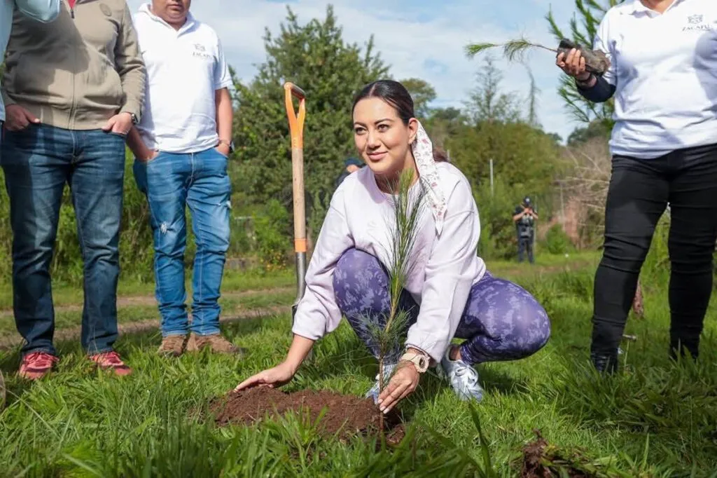 Arranca Mónica Valdez ambicioso programa de reforestación en Zacapu