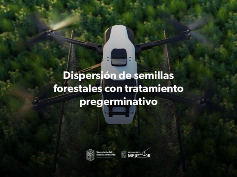 Arranca reforestación con drones en Michoacán