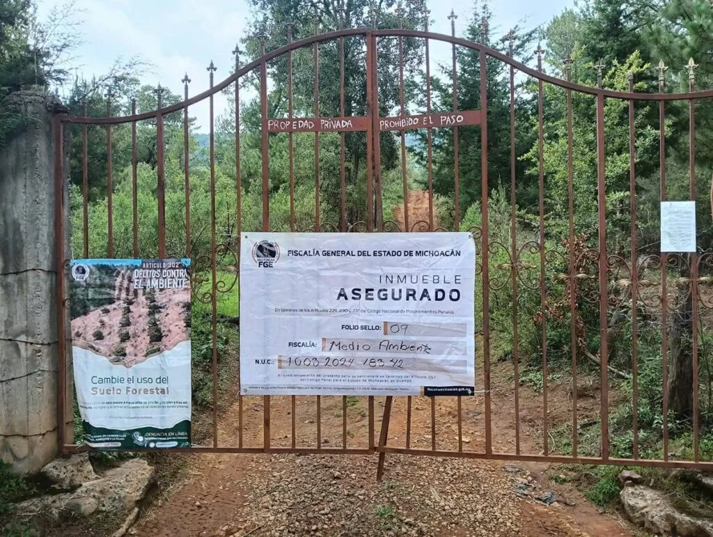 Asegura Fiscalía predio relacionado con delitos contra el ambiente