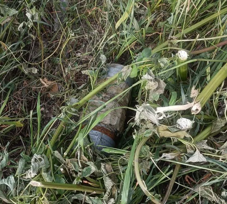 Asegurados explosivo y armamento tras operativo en Tierra Caliente; hay un detenido: SSP-2