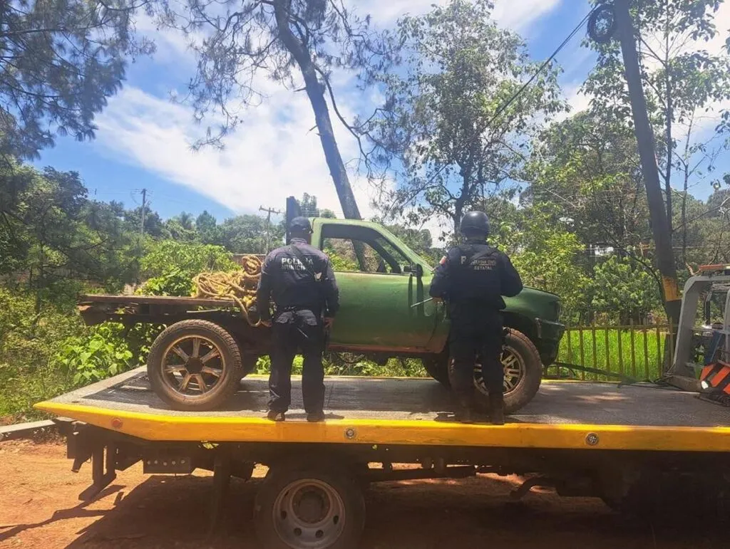 Aseguran predio en Uruapan con más de 34 mil m³ afectados por tala ilegal