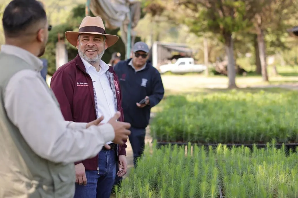 avanza en Michoacán programa de reforestación