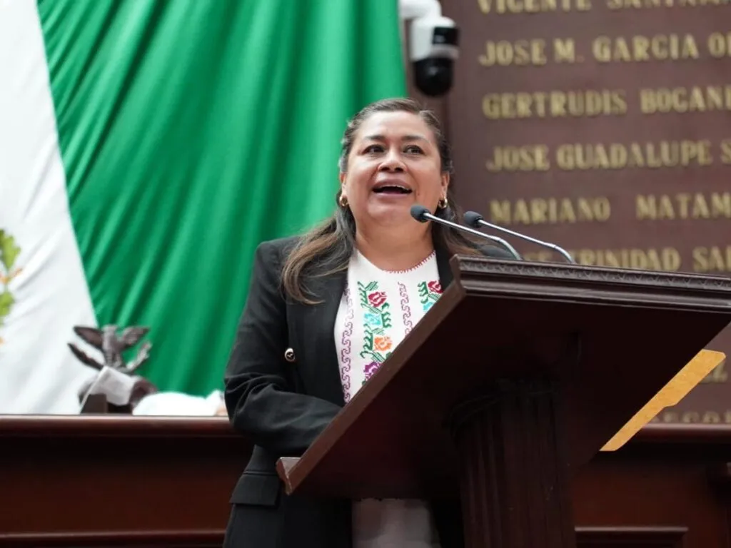 Belinda Iturbide llama a la población a atender salud mental en instituciones oficiales y no en redes sociales-1