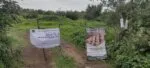 Catea FGE un predio relacionado con plantación ilegal de aguacate en Capula