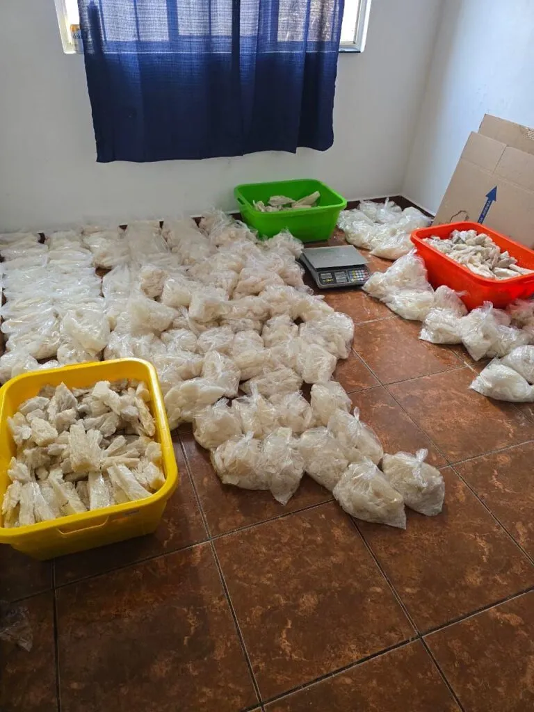 decomisan 800 kg de droga y desmantelan laboratorio clandestino en Morelia