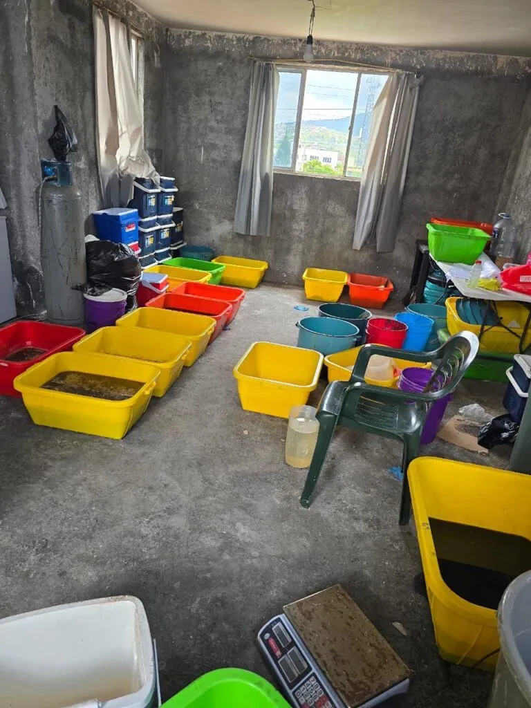 desmantelan laboratorio clandestino en Morelia; aseguran 800 kg de droga y a 2 hombres