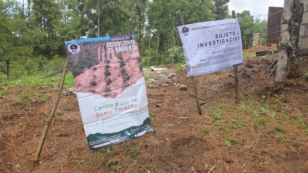 detecta FGE tala ilegal y cultivos no autorizados En Tacámbaro