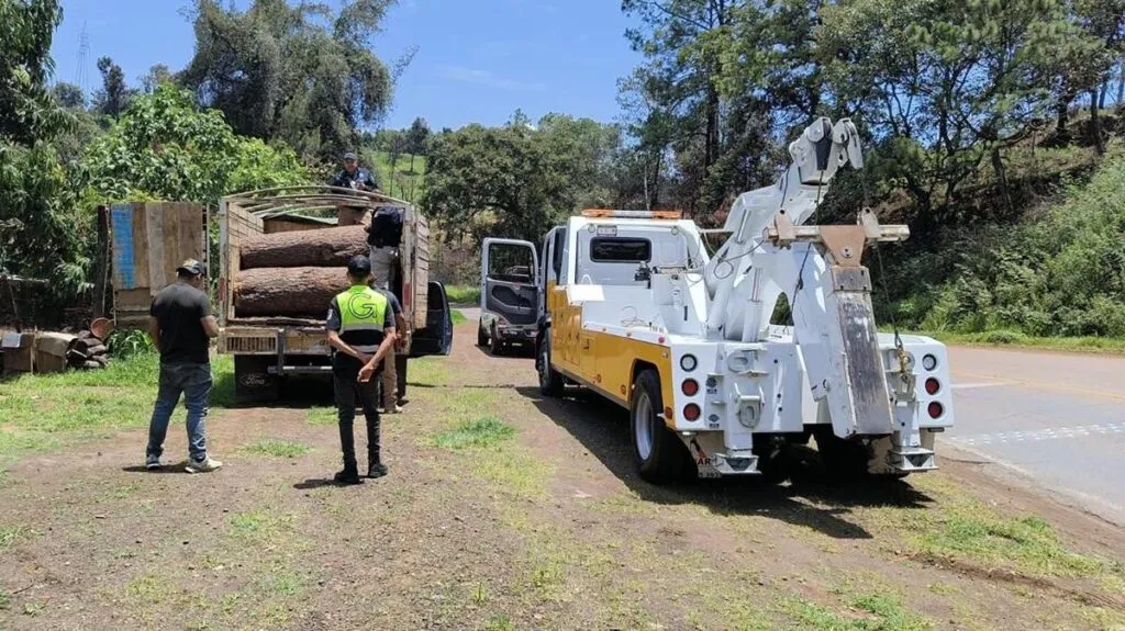 Detectan predio en Uruapan con 34 mil m³ afectados por tala ilegal