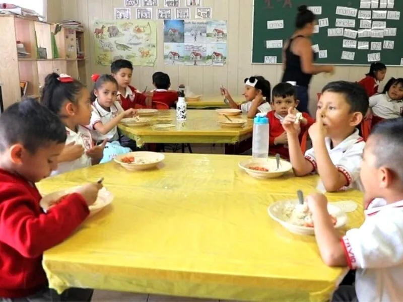 Detectó ASF irregularidades en padrón de beneficiarios de 2024 para alimentación escolar en Michoacán