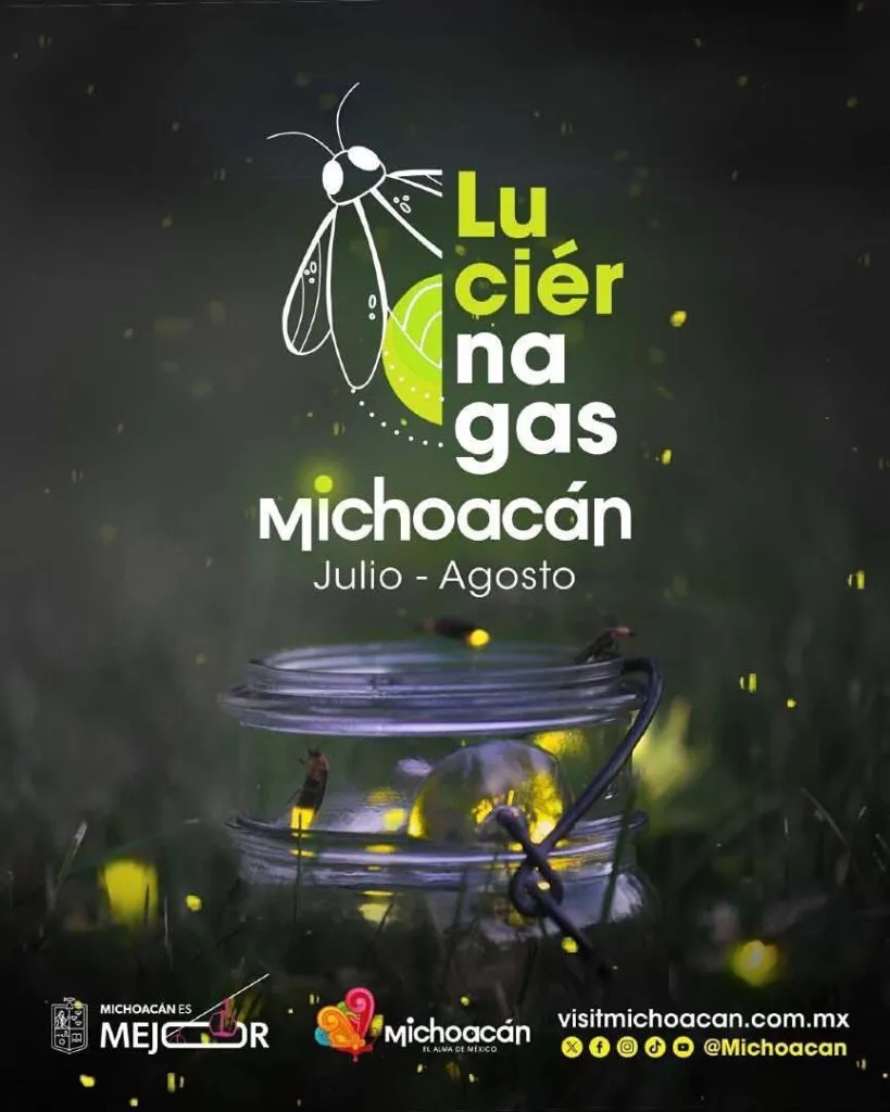 Disfruta la magia de las luciérnagas este verano en Michoacán: Sectur-2