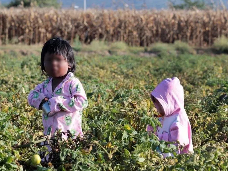 El trabajo infantil en Michoacán