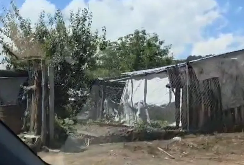 El Último Regreso de Jaime Alanís: Un Migrante Michoacano Vuelve a Casa Entre Lágrimas y Esperanza-4