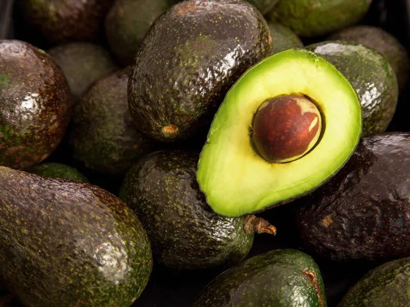 ¿Ganarán terreno a Michoacán? Nayarit se alista para exportar aguacate a Asia
