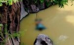 Hallan cuerpo sin vida de un hombre en un estanque en Apatzingán