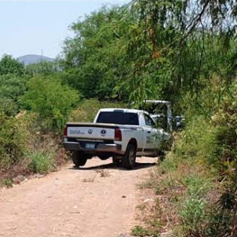 Descubren dos cuerpos con signos de violencia en plantío de plátano en Coahuayana