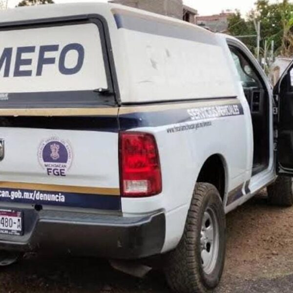 Sujetos armados privan de la vida a un hombre al interior de su domicilio en Las Guacamayas