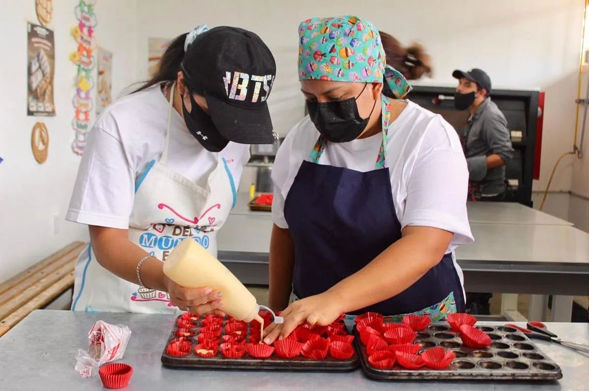 Icatmi abre inscripciones para más de 800 cursos