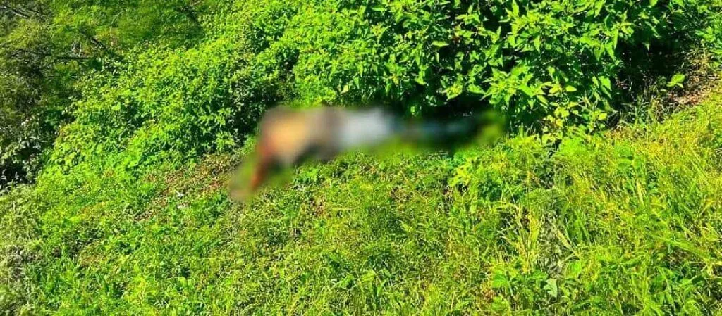Identifican al hombre hallado envuelto con cinta adhesiva en Carácuaro
