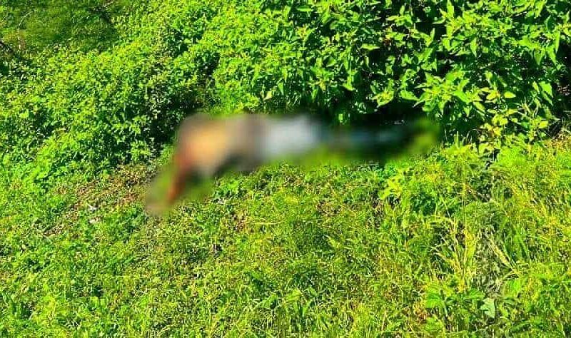 Identifican al hombre hallado envuelto con cinta adhesiva en Carácuaro