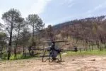 Así es la innovadora técnica de reforestación con drones para recuperar bosques michoacanos: Secma