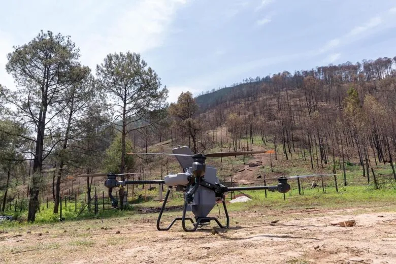 Inicia Michoacán dispersión de semillas con drones para reforestar bosques