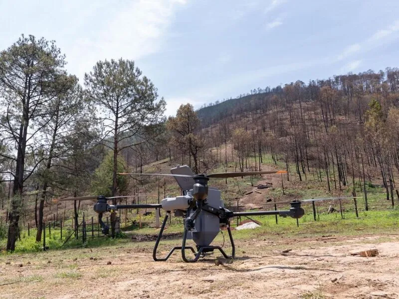 Inicia Michoacán dispersión de semillas con drones para reforestar bosques