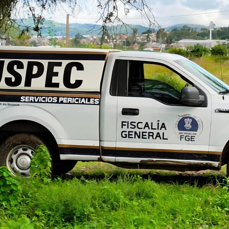 Investigan el hallazgo de una osamenta humana en Buenavista, Michoacán