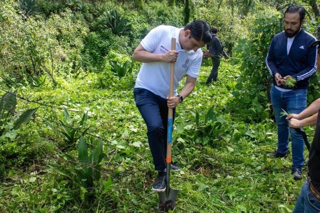 jóvenes reforestan Queréndaro; plantan más de 10 mil árboles-1